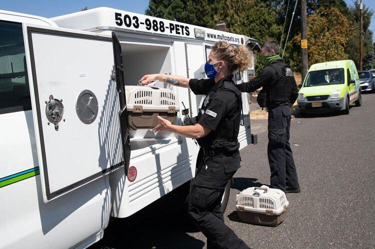 <i>MCAS via KPTV</i><br/>Nearly 100 animals that were seized from an unlicensed facility in northeast Portland last year are now eligible for adoption