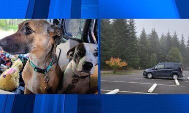 Two dogs inside a stolen van disappeared on October 17 iin Portland