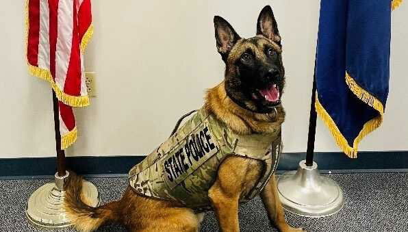 <i>Indiana State Police via WLWT</i><br/>A K9 with the Indiana State Police has received a bullet and stab protective vest thanks to a donation from a nonprofit organization. Indiana State Police K9 Barker received a bullet and stab protective vest thanks to a Vested Interest in K9s