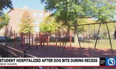 A New Haven student was taken to the hospital on October 19 after being bitten by a dog during recess.