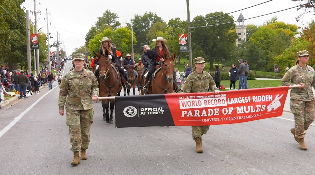 University of Central Missouri attempts to achieve the Guinness World Records title for the largest ridden parade of mules