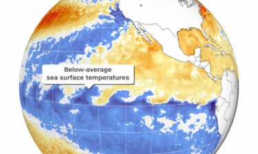 La Niña conditions -- the opposite phase of El Niño -- have emerged in the tropical Pacific Ocean over the past month.