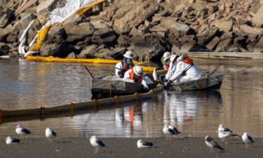 Workers in boats try to clean up floating oil near gulls in the Talbert Marsh in Newport Beach