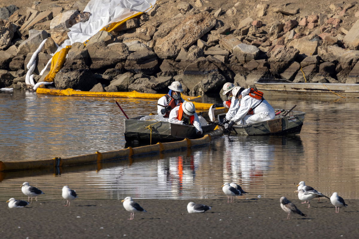 <i>David McNew/AFP/Getty Images</i><br/>Workers in boats try to clean up floating oil near gulls in the Talbert Marsh in Newport Beach