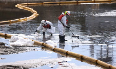 Workers in protective suits clean oil in the Talbert Marsh wetlands after a 126