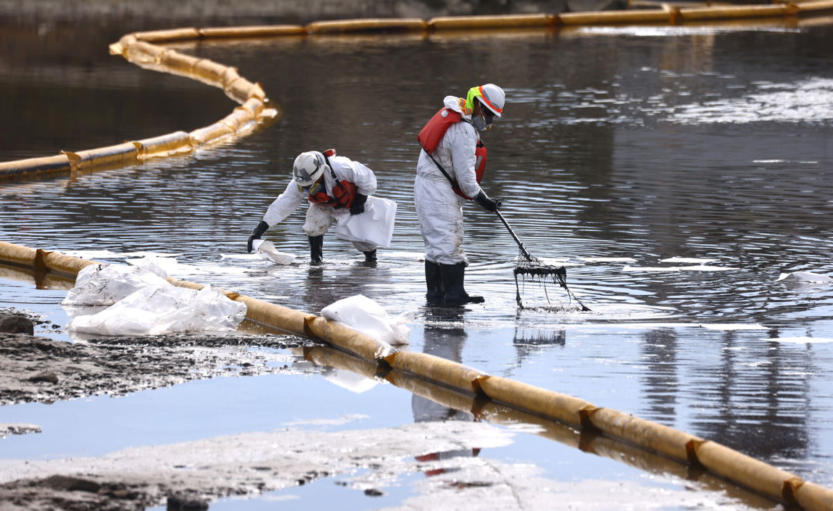 <i>Mario Tama/Getty Images</i><br/>Workers in protective suits clean oil in the Talbert Marsh wetlands after a 126