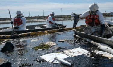 Cleanup contractors deploy skimmers and floating barriers known as booms to try to stop further oil crude incursion into the Wetlands Talbert Marsh in Huntington Beach