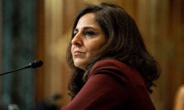 Neera Tanden was named White House staff secretary on a morning staff call on Friday. Tanden is shown here on February 10