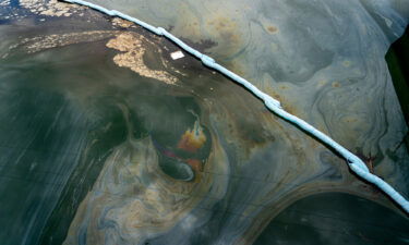 Boom traps oil under the Talbert Channel in an area affected by the oil spill off the coast of Huntington Beach