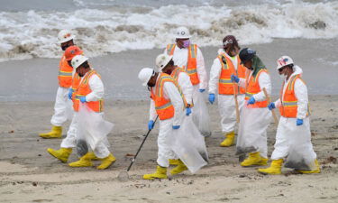 A cleanup crew works on the beach on Thursday