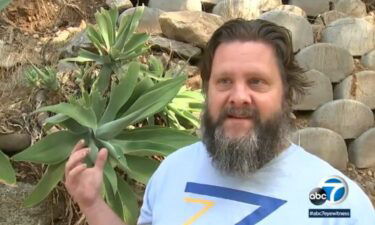 John Holden came home to find his front door open and a bear in his kitchen eating chicken.