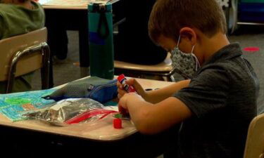 Students in a NC second-grade class at Hominy Valley Elementary have read the book "A Color of His Own