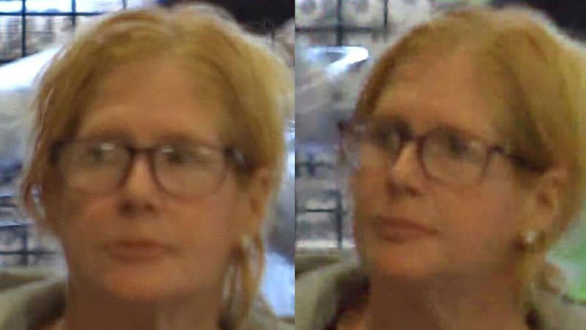 <i>WFSB via Southington police</i><br/>Southington police are looking to identify a woman they said who stole $700 worth of items from ShopRite