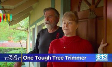A tree trimmer performed his own one-armed rescue