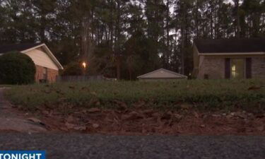 It's an unusual sight for members of one Saraland community as a bear set up shop in the neighborhood.