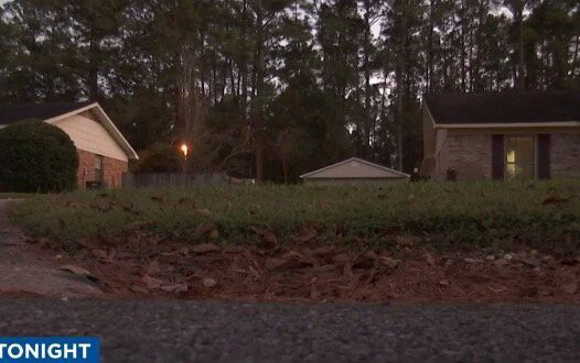 <i>WALA</i><br/>It's an unusual sight for members of one Saraland community as a bear set up shop in the neighborhood.