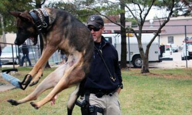 A dog that was slated to be put down is instead Spring Hill police's newest officer. Loki