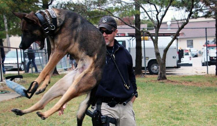 <i>Spring Hill Police Department</i><br/>A dog that was slated to be put down is instead Spring Hill police's newest officer. Loki