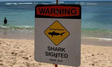 Lifeguards at Makaha Beach Park in Waianae are warning the public after a 7-foot reef shark was spotted close to shore on Thursday.