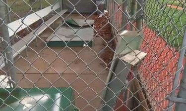 East County Little League is seeking help from the community after recent vandalism costs them thousands of dollars in damages.