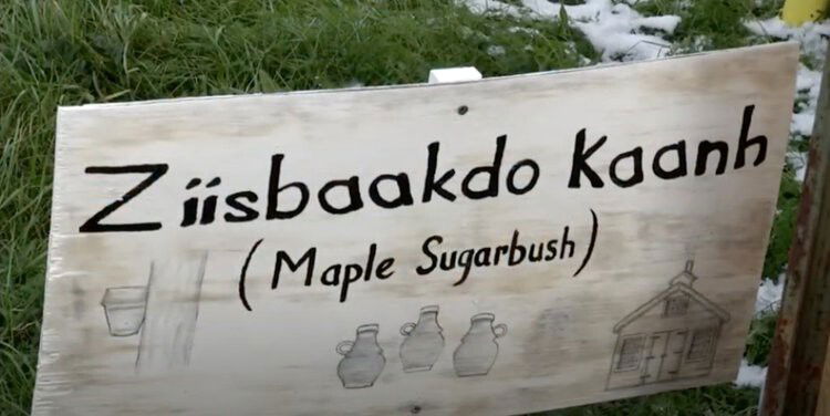 <i>WNEM</i><br/>November is Native American Heritage Month. Michigan is home to 12 federally-recognized Indian tribes. That includes the Saginaw Chippewa Indian Tribe of Michigan in Mt. Pleasant. A sign from the tribe is pictured.