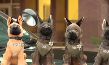 The Waukesha County Sheriff's Office said people lined up to get their hands on plush K-9 dogs. Within just six hours