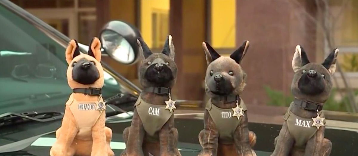 <i>WDJT</i><br/>The Waukesha County Sheriff's Office said people lined up to get their hands on plush K-9 dogs. Within just six hours