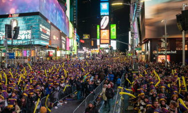Revelers at Times Square during the New Year's Eve celebration on December 31