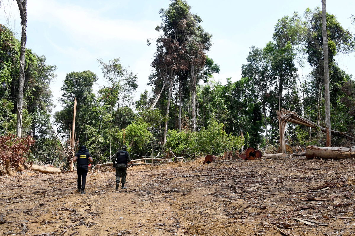 <i>Evaristo Sa/AFP/Getty Images</i><br/>Officials from Para State in northern Brazil inspect a deforested area in the Amazon in September.