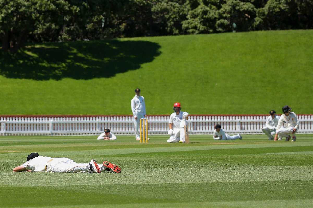 <i>Hagen Hopkins/Getty Images</i><br/>Cricketers hit the floor to avoid the swarm of bees.