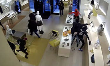 Surveillance footage from the mall showing Louis Vuitton store being ransacked at Oak Brook Center Mall in Oak Brook