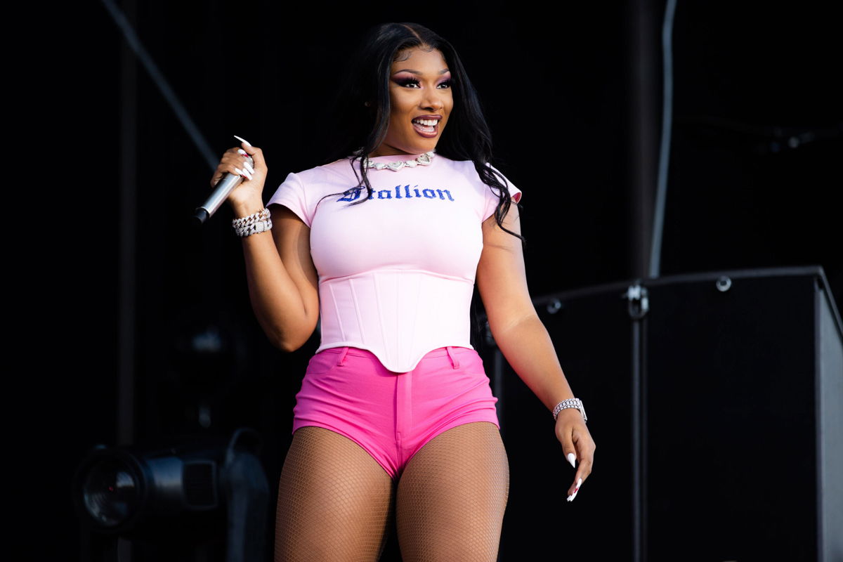 <i>Rich Fury/Getty Images</i><br/>Megan Thee Stallion