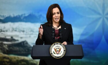 President Joe Biden on Friday will temporarily transfer power to Vice President Kamala Harris while he is under anesthesia for a routine colonoscopy. Harris is shown here in Washington