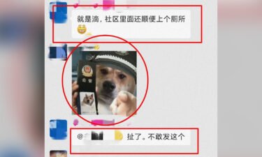 A man in China was reportedly detained for nine days after sending a meme to a group chat that was deemed offensive to police.