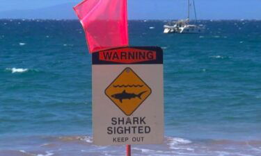 Shark warning signs have been posted on the Makaha Side of Maili Beach Park after a 10 to 12-foot shark was seen feeding on a sea turtle.