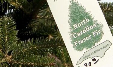 Owners of a Durham tree farm say Christmas tree prices