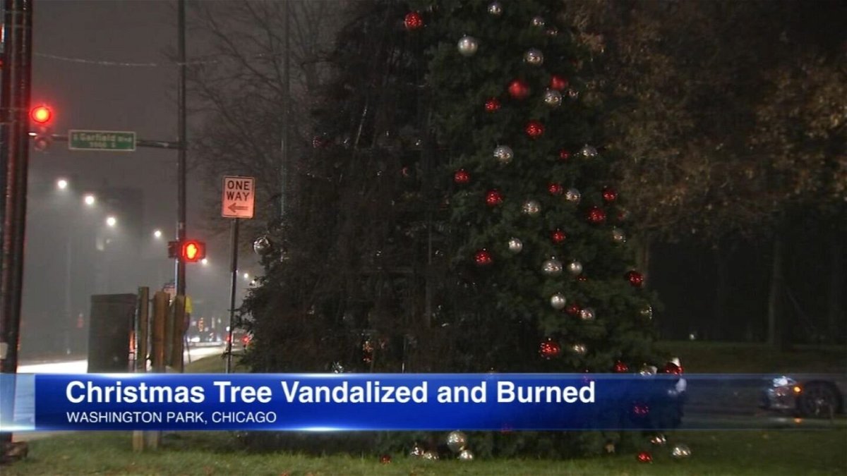 <i>WLS</i><br/>A Christmas tree in Washington Park will be replaced Monday after it was burned by vandals over the weekend.