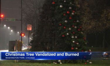 A Christmas tree in Washington Park will be replaced Monday after it was burned by vandals over the weekend.