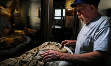 Fossil hunters unearth what Missouri dinosaur really looked like.