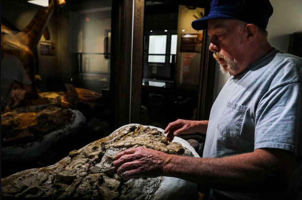 <i>Colter Peterson/St. Louis Post-Dispatch</i><br/>Fossil hunters unearth what Missouri dinosaur really looked like.