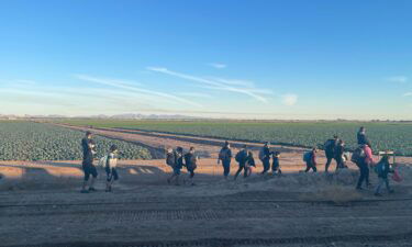 November border arrests are up after trending downward in recent months. Migrants who have just crossed the border are seen here walking into Yuma