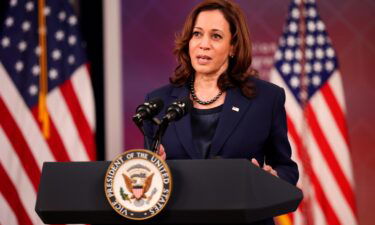 Vice President Kamala Harris will mark the White House's first ever Maternal Health Day of Action when she hosts a summit with lawmakers