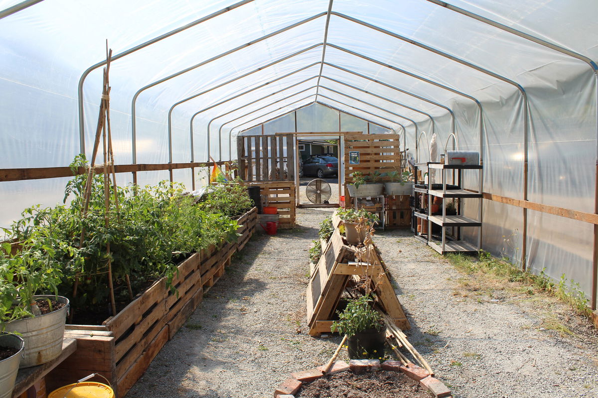 <i>Courtesy Amanda Lee</i><br/>The Shared Spaces Foundation has built a greenhouse on the parcel of land that it plans to repatriate to the Duwamish tribe.