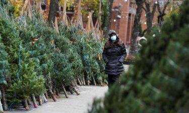 The holiday decorations as a fresh-cut evergreen tree began in Germany in the 16th century and spread to other countries over the next three centuries