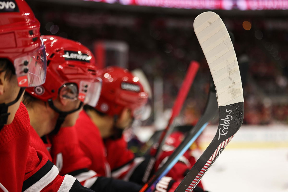 <i>Gregg Forwerck/NHLI/Getty Images</i><br/>Teuvo Teravainen #86 of the Carolina Hurricanes pays tribute on January 8 to high school student Teddy Balkind