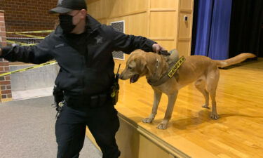 Covid detection dogs are being utilized in Massachusetts schools.