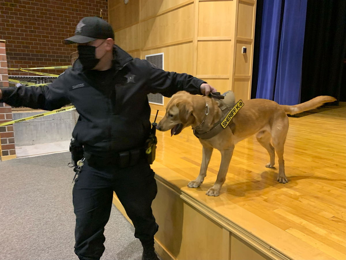 <i>Bristol County Sheriff's Office</i><br/>Covid detection dogs are being utilized in Massachusetts schools.