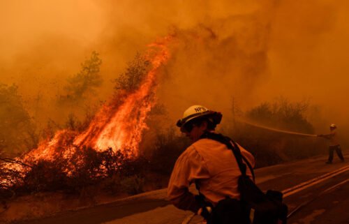 Firefighters battle the Windy Fire in the Sequoia National Forest in California on September 22