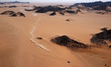 A French mechanic died in an accident on January 14 during the Dakar Rally held in Saudi Arabia
