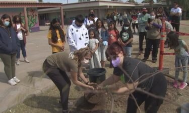 Students and teachers at Emerson Elementary School celebrated the school's 100th anniversary by planting 100 trees and various plants.